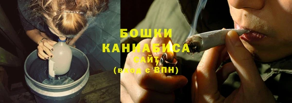 трава Переславль-Залесский