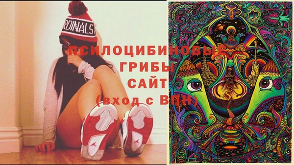 трава Переславль-Залесский