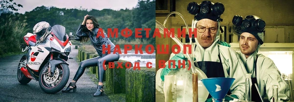 ECSTASY Пересвет