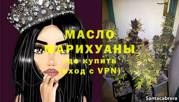 ECSTASY Пересвет