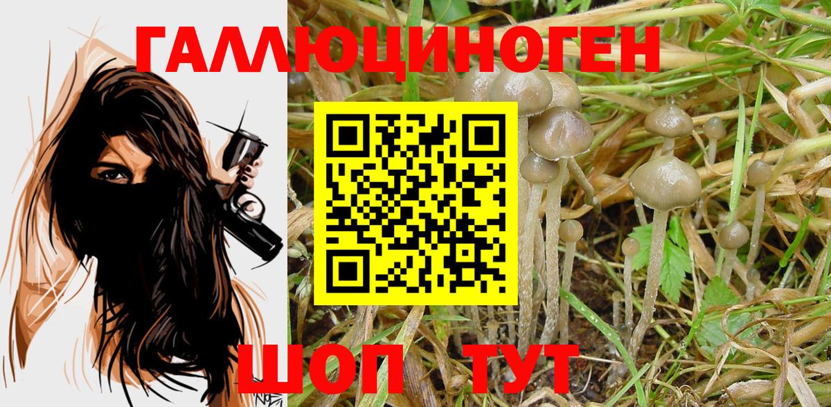 Галлюциногенные грибы MAGIC MUSHROOMS  Галлюциногенные грибы прущие грибы  Стрежевой  Вход с VPN 
